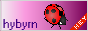 hybyrn